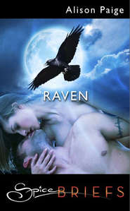 бесплатно читать книгу Raven автора Alison Paige