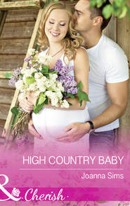 бесплатно читать книгу High Country Baby автора Joanna Sims