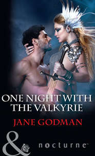 бесплатно читать книгу One Night With The Valkyrie автора Jane Godman