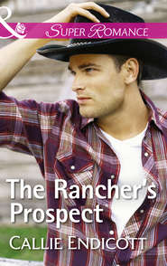 бесплатно читать книгу The Rancher's Prospect автора Callie Endicott