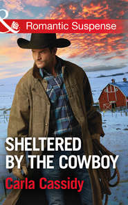 бесплатно читать книгу Sheltered By The Cowboy автора Carla Cassidy