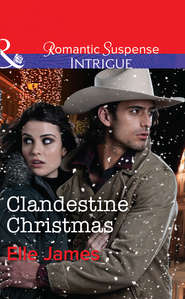 бесплатно читать книгу Clandestine Christmas автора Elle James