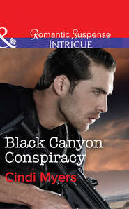 бесплатно читать книгу Black Canyon Conspiracy автора Cindi Myers
