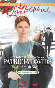 бесплатно читать книгу An Amish Noel автора Patricia Davids