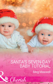 бесплатно читать книгу Santa's Seven-Day Baby Tutorial автора Meg Maxwell