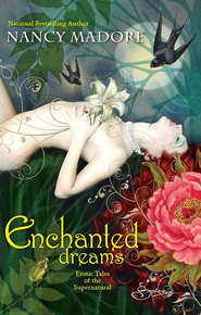 бесплатно читать книгу Enchanted Dreams: Erotic Tales Of The Supernatural автора Nancy Madore