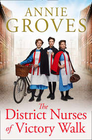 бесплатно читать книгу The District Nurses of Victory Walk автора Annie Groves