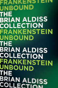 бесплатно читать книгу Frankenstein Unbound автора Brian Aldiss