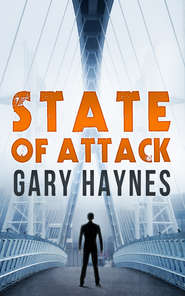 бесплатно читать книгу State Of Attack автора Gary Haynes