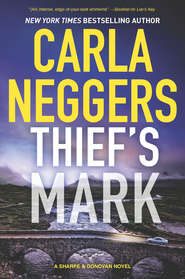 бесплатно читать книгу Thief's Mark автора Carla Neggers