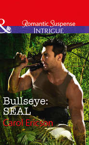 бесплатно читать книгу Bullseye: Seal автора Carol Ericson