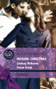 бесплатно читать книгу Mission: Christmas: The Christmas Wild Bunch / Snowbound with a Prince автора Lindsay McKenna