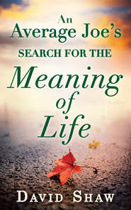 бесплатно читать книгу An Average Joe's Search For The Meaning Of Life автора David Shaw