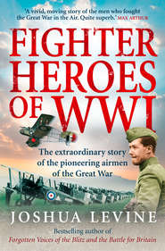 бесплатно читать книгу Fighter Heroes of WWI: The untold story of the brave and daring pioneer airmen of the Great War автора Joshua Levine