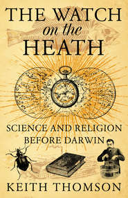 бесплатно читать книгу The Watch on the Heath: Science and Religion before Darwin автора Keith Thomson