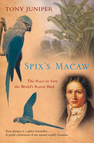 бесплатно читать книгу Spix’s Macaw: The Race to Save the World’s Rarest Bird автора Tony Juniper