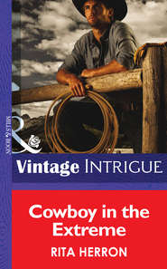 бесплатно читать книгу Cowboy in the Extreme автора Rita Herron