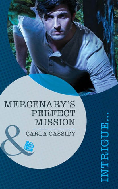 Mercenary's Perfect Mission