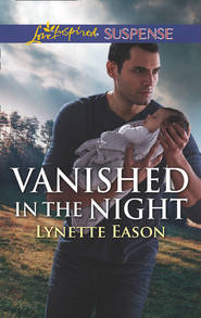 бесплатно читать книгу Vanished In The Night автора Lynette Eason