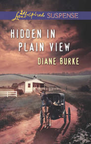 бесплатно читать книгу Hidden in Plain View автора Diane Burke