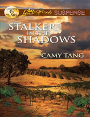 бесплатно читать книгу Stalker in the Shadows автора Camy Tang