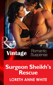 бесплатно читать книгу Surgeon Sheik's Rescue автора Лорет Энн Уайт