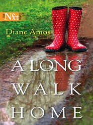 бесплатно читать книгу A Long Walk Home автора Diane Amos