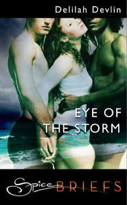 бесплатно читать книгу Eye Of The Storm автора Delilah Devlin