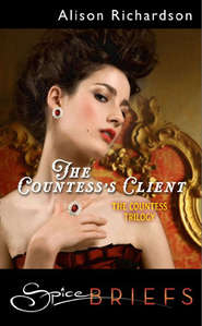 бесплатно читать книгу The Countess's Client автора Alison Richardson