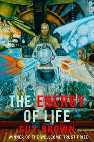 бесплатно читать книгу The Energy of Life: автора Guy Brown
