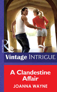 бесплатно читать книгу A Clandestine Affair автора Joanna Wayne