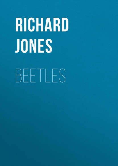 Beetles