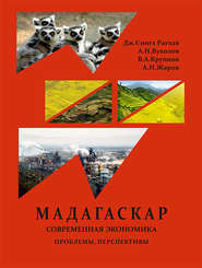бесплатно читать книгу Республика Мадагаскар. Современная экономика (проблемы, перспективы) автора Андрей Жаров