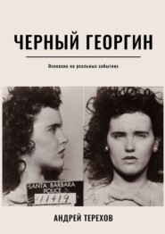 бесплатно читать книгу Черный георгин автора Андрей Терехов