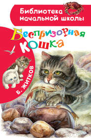 бесплатно читать книгу Беспризорная кошка автора Борис Житков