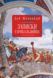 бесплатно читать книгу Записки гарибальдийца автора Лев Мечников