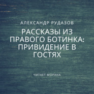 бесплатно читать книгу Привидение в гостях автора Александр Рудазов