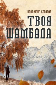 бесплатно читать книгу Твоя Шамбала автора Владимир Сагалов