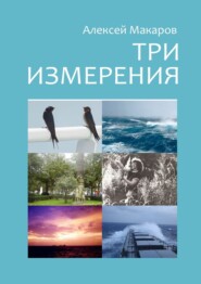 бесплатно читать книгу Три измерения. Сборник рассказов автора Алексей Макаров