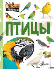 бесплатно читать книгу Птицы автора Наталия Аронова