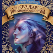 бесплатно читать книгу Пособие для начинающего мага автора Елизавета Шумская