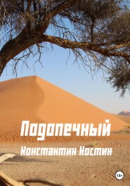 бесплатно читать книгу Подопечный автора Константин Костин