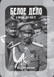 бесплатно читать книгу Белое дело в России: 1917-1919 гг. автора Василий Цветков