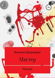 бесплатно читать книгу Мастер автора Виталий Штормовой