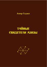 бесплатно читать книгу Тайные свидетели Азизы. Книга 1 автора Амир Гаджи