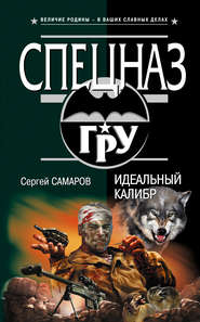 бесплатно читать книгу Идеальный калибр автора Сергей Самаров