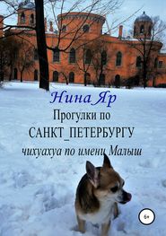 бесплатно читать книгу Прогулки по Санкт-Петербургу автора Нина Яр