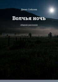 бесплатно читать книгу Волчья ночь. Сборник рассказов автора Денис Соболев