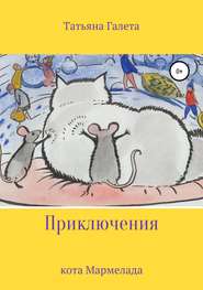 бесплатно читать книгу Приключения кота Мармелада автора Татьяна Галета