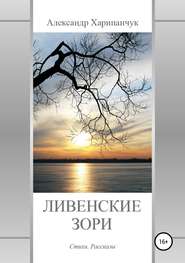 бесплатно читать книгу Ливенские зори автора Александр Харипанчук